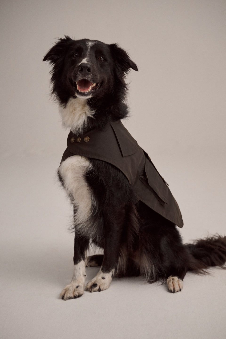 DRIZA-BONE APSLEY DOG COAT