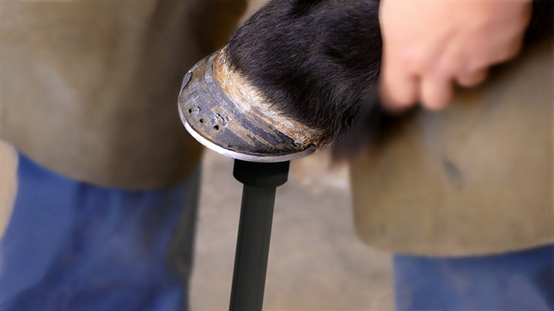 BAINBRIDGE HOOF FARRIER STAND