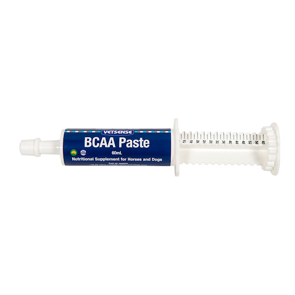 VETSENSE BCAA PASTE 60ML
