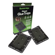 BAINBRIDGE MOUSE GLUE TRAP 4 PK