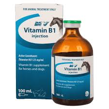 CEVA VITAMIN B1 INJECTION 100ML