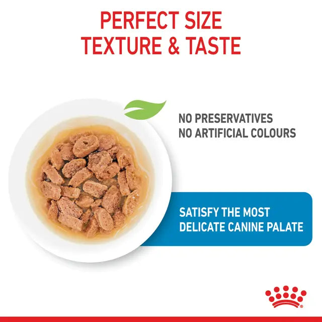ROYAL CANIN PUPPY MINI WET 85G