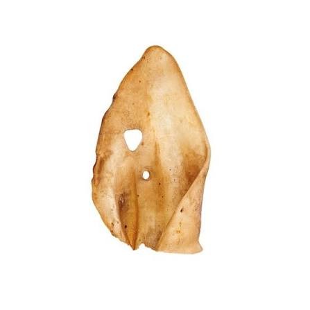 NM Aussie Cow Ears
