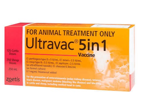 Zoetis Ultravac 5in1 100ml