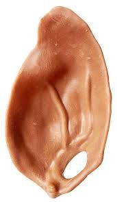 K9 Homes Vegetarian Ears