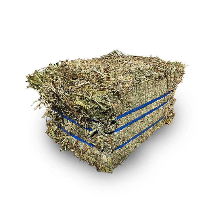 HAY COMPRESSED OATEN