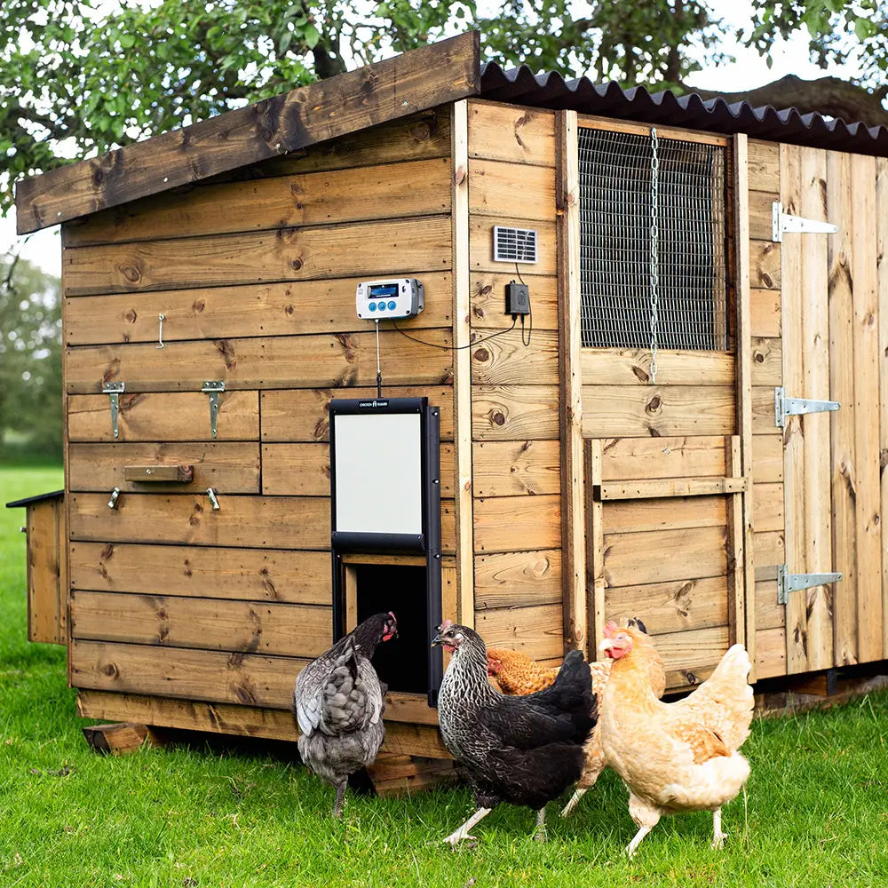BAINBRIDGE CHICKEN GUARD PRO COMBI KIT-SOLAR