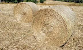 HAY ROUND 5FT NATIVE GRASS