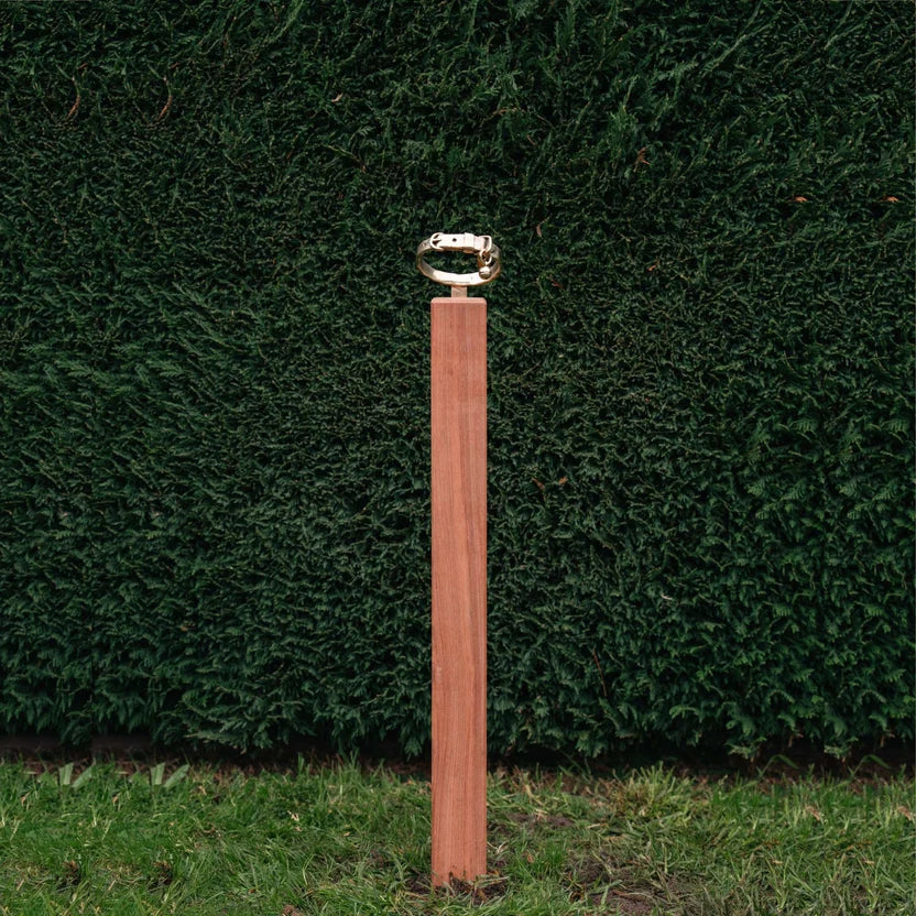 RBM BRONZE CAT COLLAR MEMORIAL ON POST - WITH POST