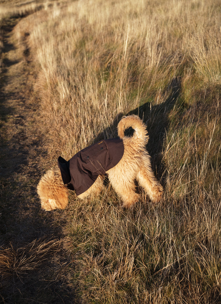 DRIZA-BONE LIGHT WEIGHT HERITAGE BROWN