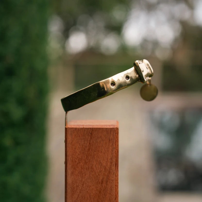 RBM BROZE DOG COLLAR MEMORIAL ON POST - WITH POST