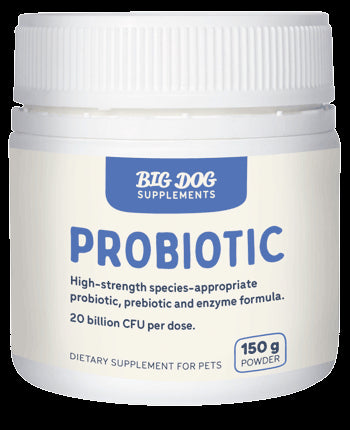 BIGDOG PROBIOTIC 150G