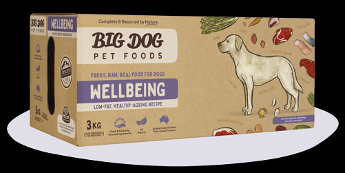 BIGDOG DOG WELLBEING