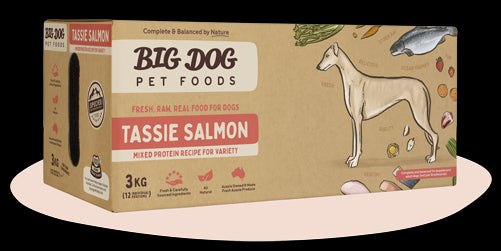 BIGDOG DOG TASSIE SALMON