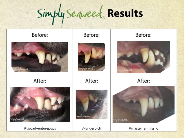 SIMPLY SEAWEED DENTAL FOR DOGS & CATS