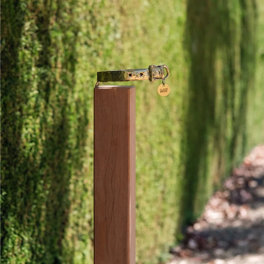 RBM BROZE DOG COLLAR MEMORIAL ON POST - WITH POST