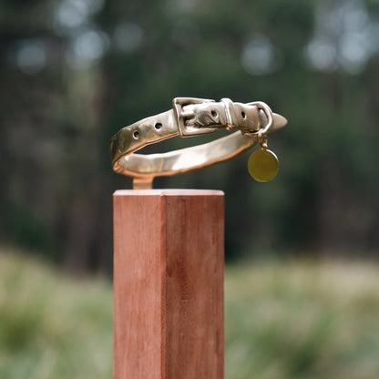 RBM BROZE DOG COLLAR MEMORIAL ON POST - WITH POST