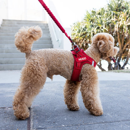 EZYDOG FORMFITA HARNESS PURPLE
