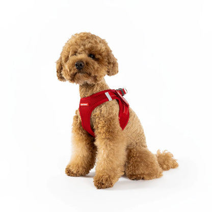 EZYDOG FORMFITA HARNESS PURPLE