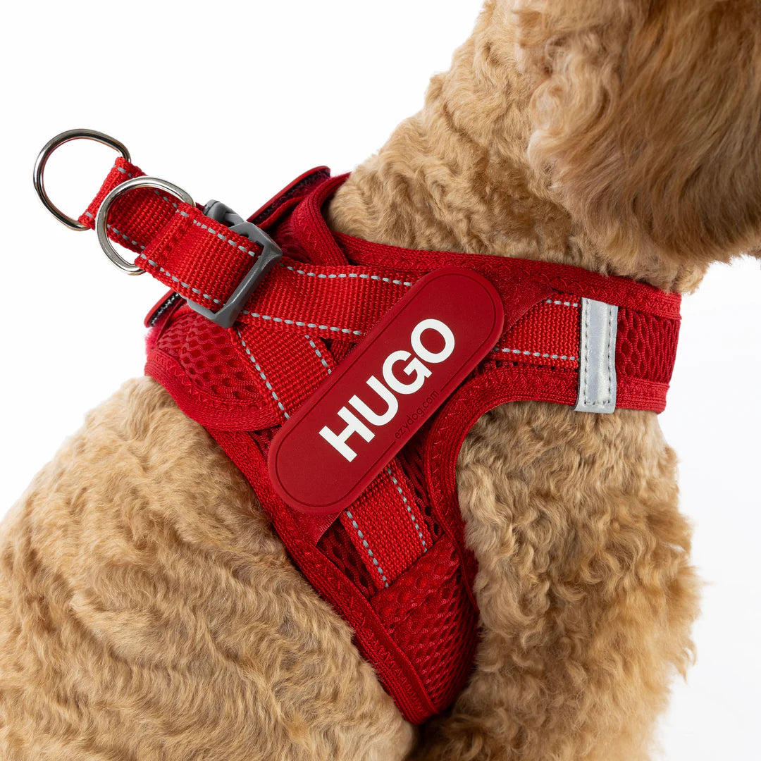 EZYDOG FORMFITA HARNESS PURPLE