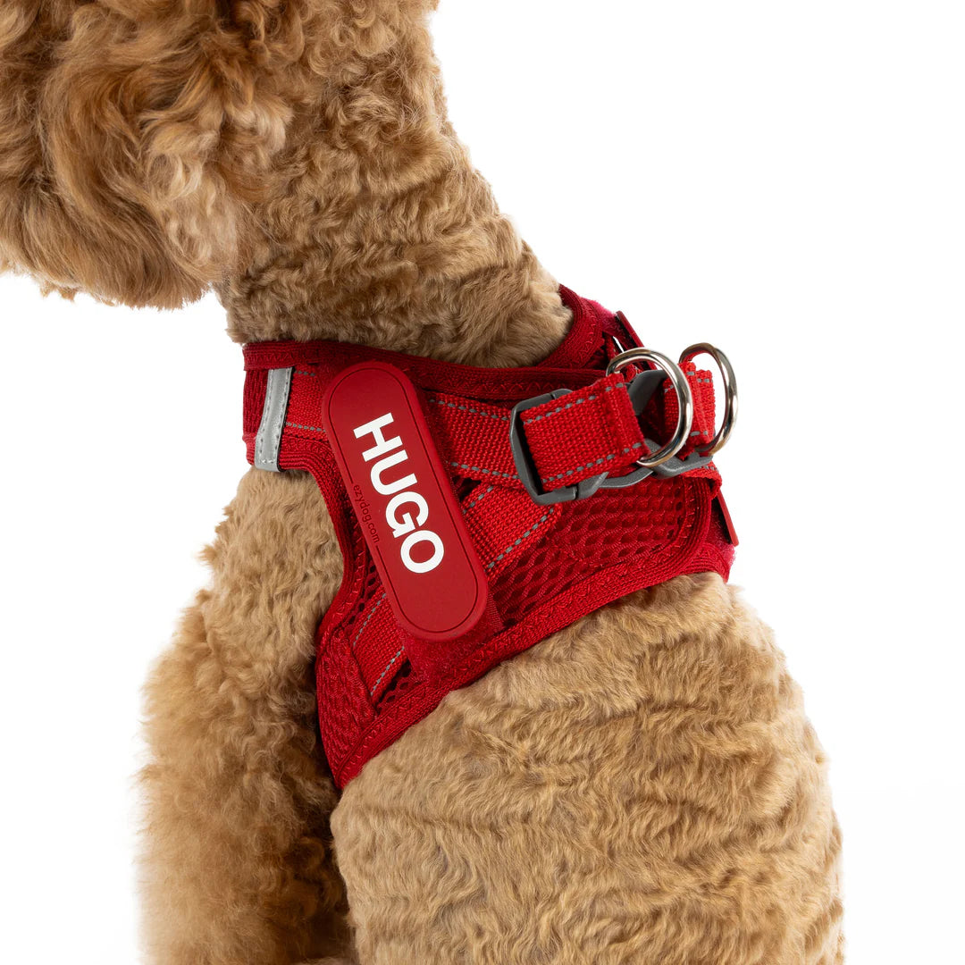 EZYDOG FORMFITA HARNESS GREEN