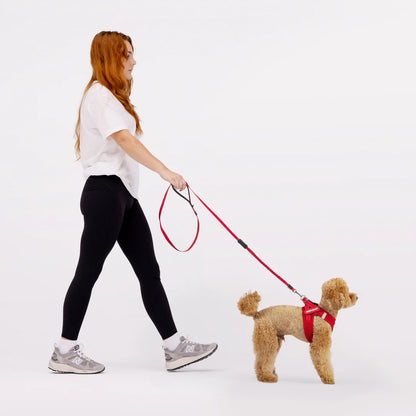 EZYDOG FORMFITA HARNESS PURPLE