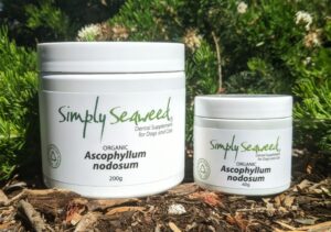 SIMPLY SEAWEED DENTAL FOR DOGS & CATS