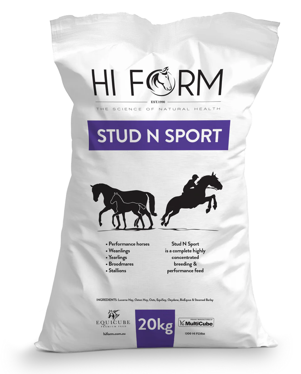 HI FORM EQUICUBE STUD N SPORT 20KG