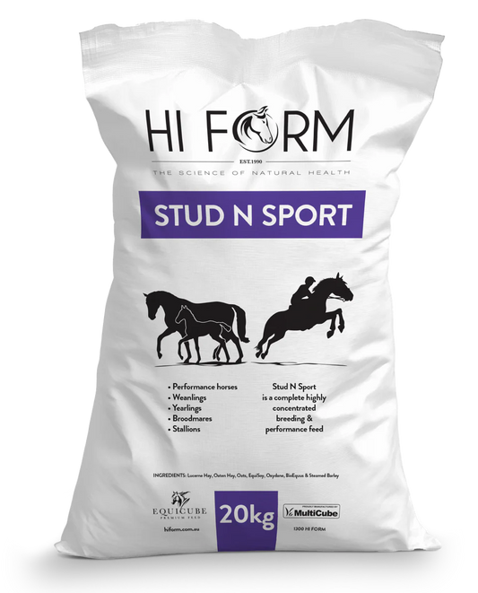 HI FORM EQUICUBE STUD N SPORT 20KG