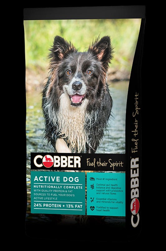 COBBER ACTIVE DOG 20KG