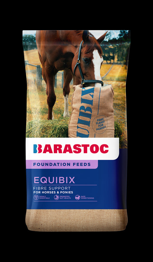 BARASTOC EQUIBIX 20KG