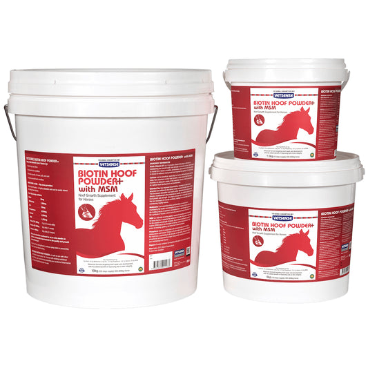 VETSENSE BIOTIN HOOF POWDER + MSM