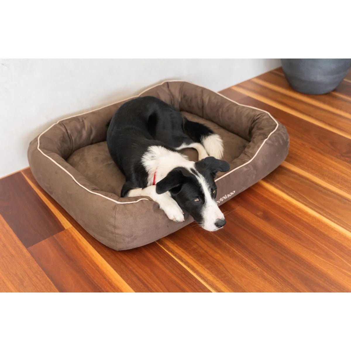 RED DINGO DONUT BED CHOCOLATE SML