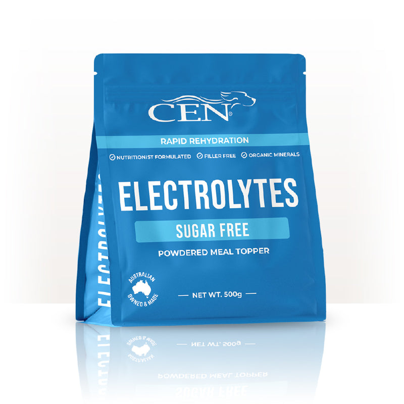 CEN DOG ELECTROLYTES 900G