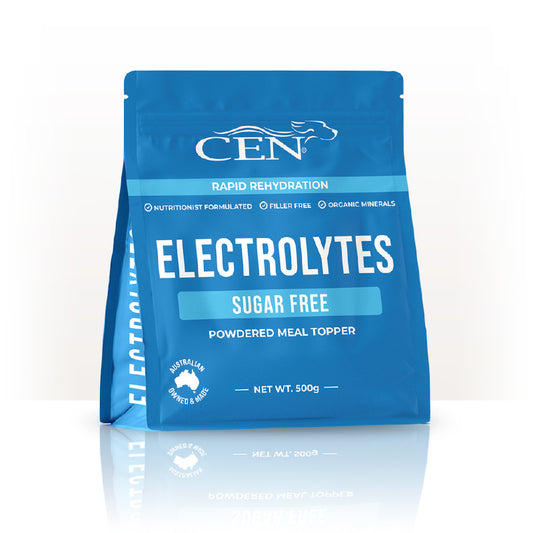 CEN DOG ELECTROLYTES 900G