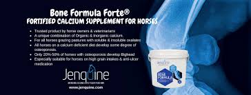 JENQUINE BONE FORMULA FORTE