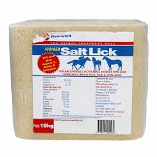 RANVET SALT LICKS IODISED