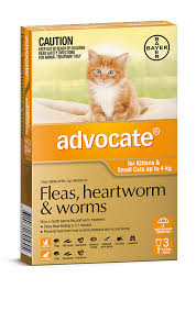 ADVOCATE CAT 0-4KG SMALL 3 PACK ORANGE