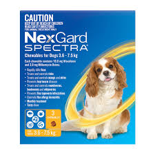 NEXGARD SPECTRA FOR DOGS 3.6-7.5KG