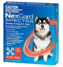 NEXGARD SPECTRA FOR DOGS 30KG -60KG