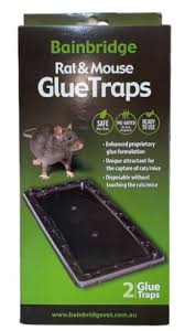 BAINBRIDGE RAT GLUE TRAP 2PK