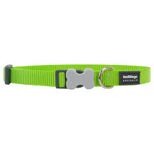 RED DINGO DOG COLLAR CLASSIC LIME GREEN