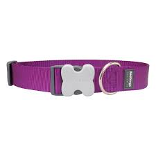 RED DINGO DOG COLLAR CLASSIC PURPLE