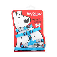 RED DINGO PUPPY PACK CLASSIC TURQUOISE 12MM