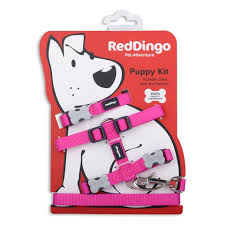 RED DINGO PUPPY PACK CLASSIC HOT PINK 12MM