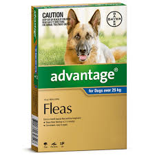 ADVANTAGE DOG 25KG PLUS X/LARGE BLUE 1'S