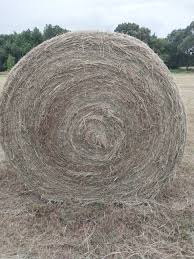 HAY ROUND 4FT NATIVE GRASS