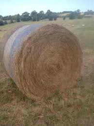 HAY ROUND 4FT CLOVER & RYE