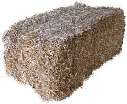 HAY PEA STRAW