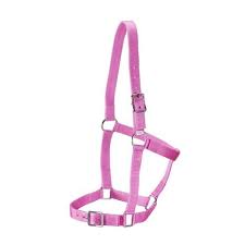 ECONO STABLE HALTER PINK